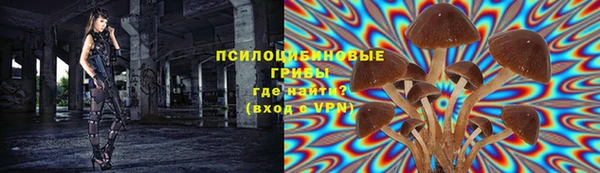 трава Балахна