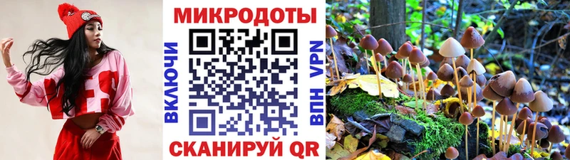 Галлюциногенные грибы мицелий  нарко площадка формула  Кунгур 