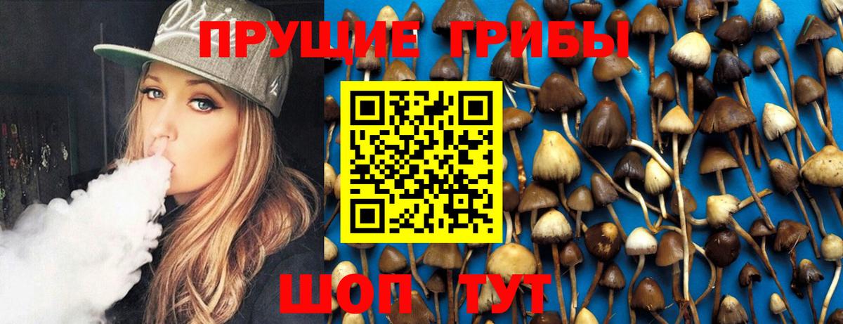 Галлюциногенные грибы Cubensis  Вход с VPN  Кунгур 